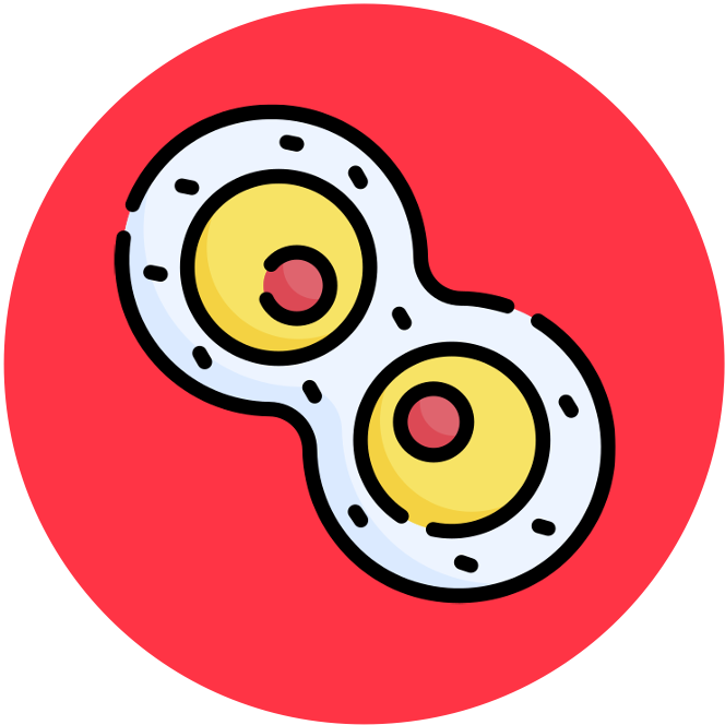 Cell Division (SL) Biology Diagrams